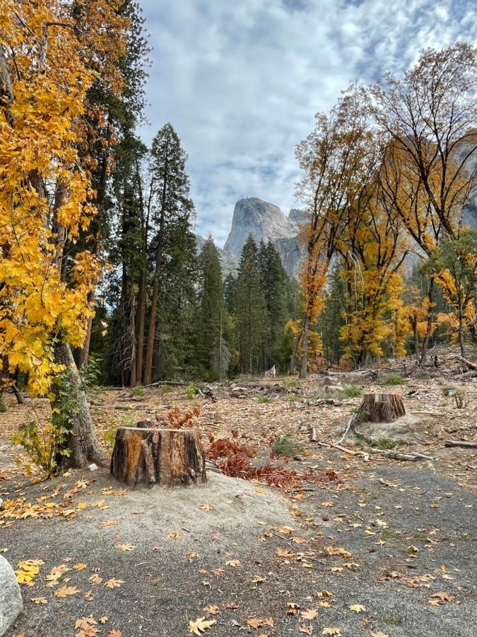 Yosemite Escapes - Pine Mountain Lake Гровленд Экстерьер фото